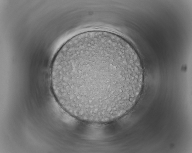 X0000112471514200909281033