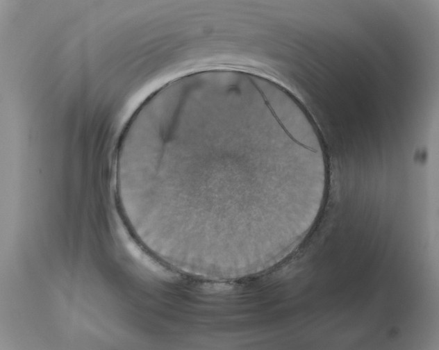 X0000112471515200909281033