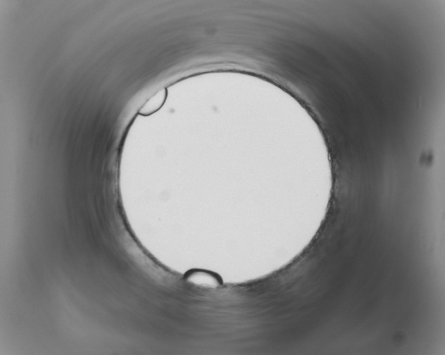 X0000112471516200909281033