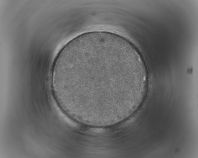 X0000112471517200909281033