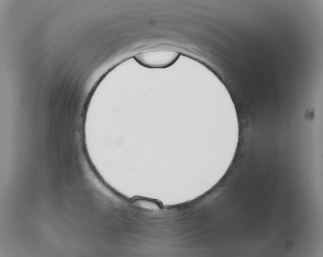 X0000112471518200909281033