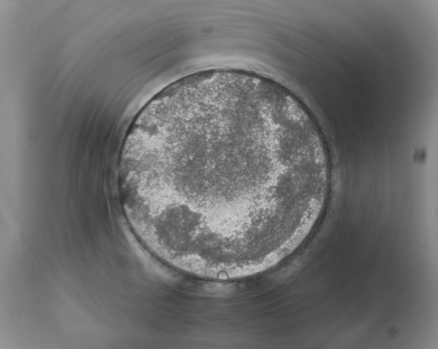 X0000112471521200909281033