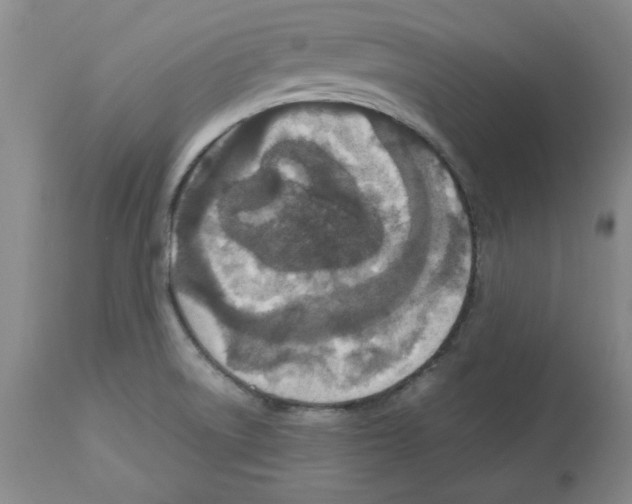 X0000112471522200909281033