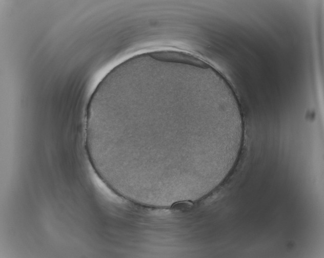 X0000112471524200909281033
