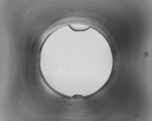 X0000112471526200909281033