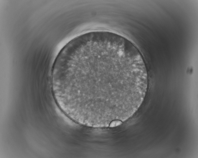 X0000112471527200909281033