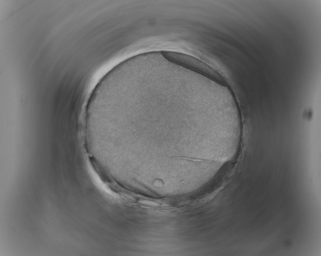 X0000112471528200909281033