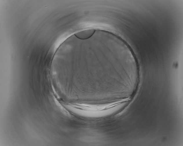 X0000112471529200909281033