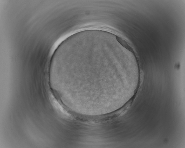 X0000112471530200909281033
