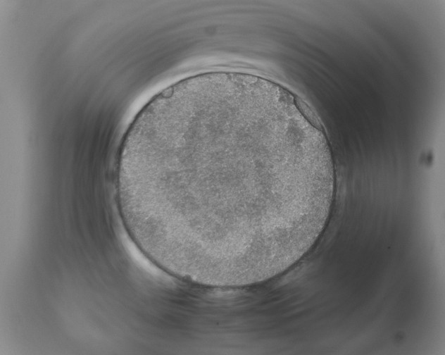 X0000112471531200909281033