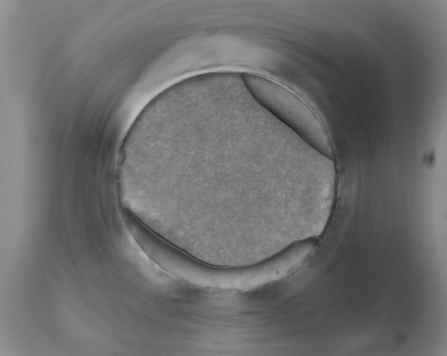 X0000112471532200909281033