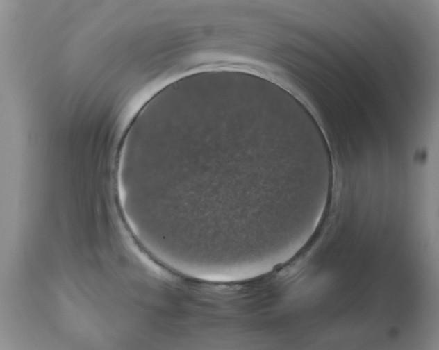X0000112471533200909281033