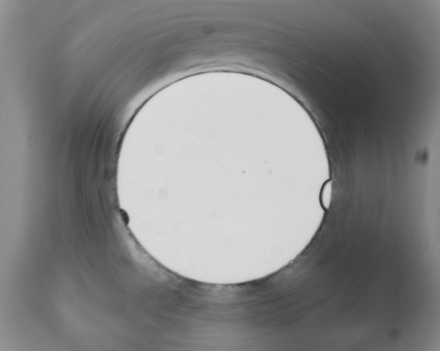X0000112471534200909281033