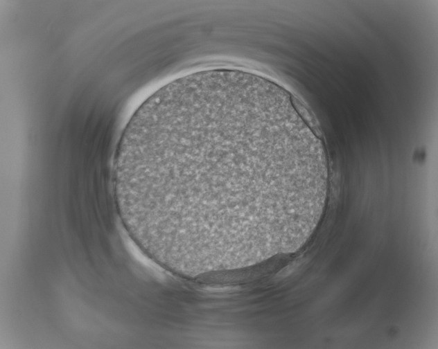 X0000112471535200909281033