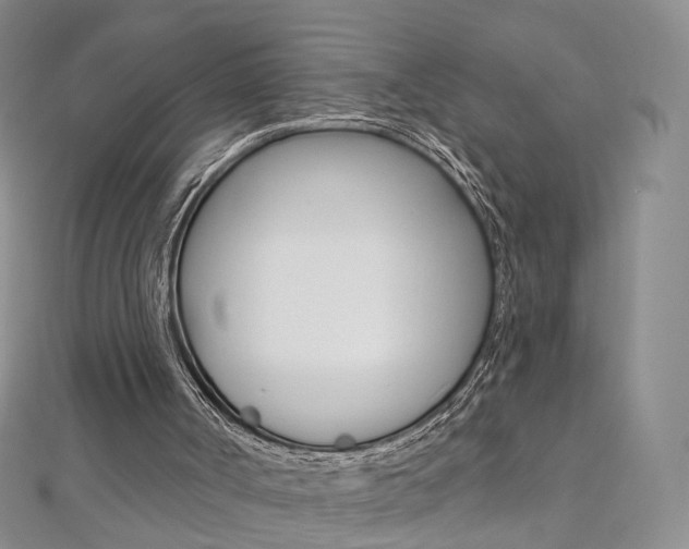 X0000112480002200908171023