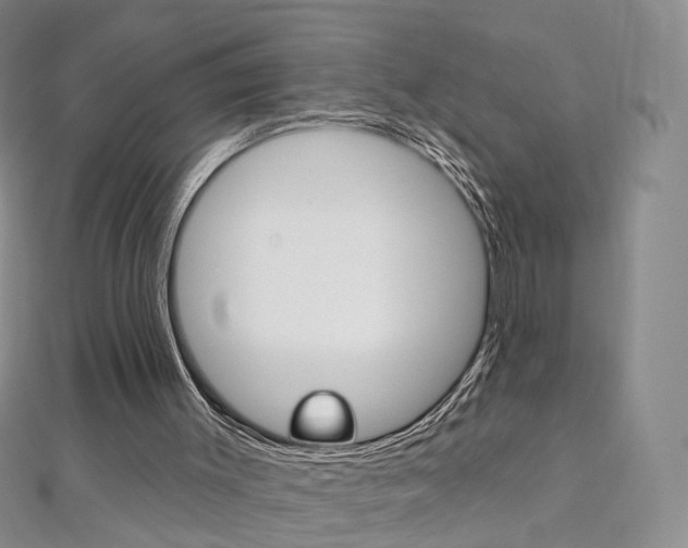 X0000112480003200908171023