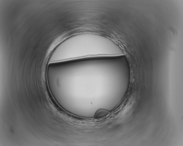X0000112480004200908171023