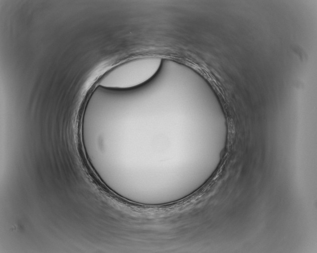 X0000112480006200908171023