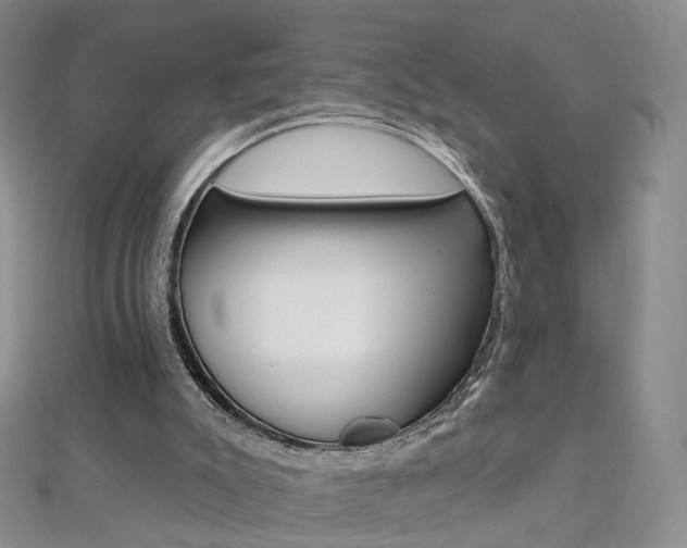 X0000112480007200908171023