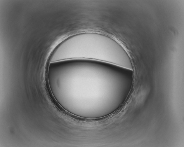 X0000112480008200908171023