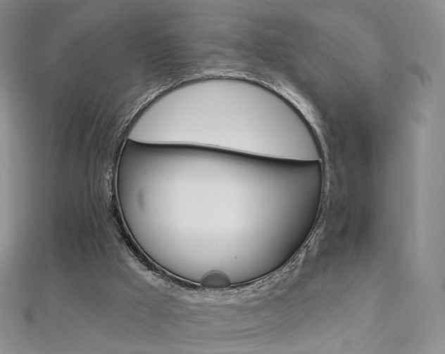 X0000112480009200908171023