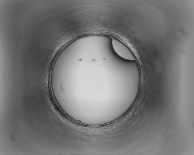 X0000112480010200908171023