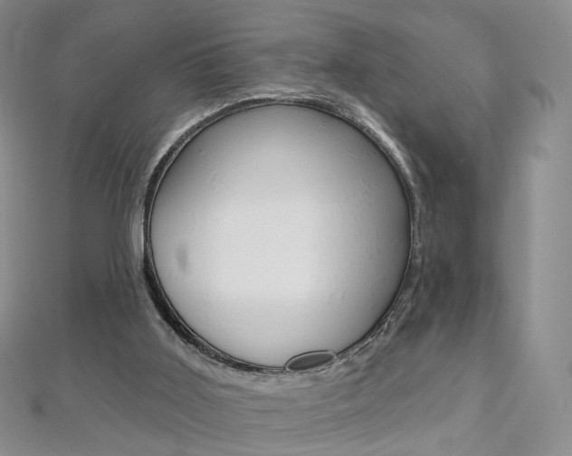 X0000112480011200908171023