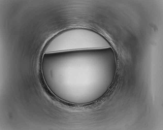 X0000112480012200908171023