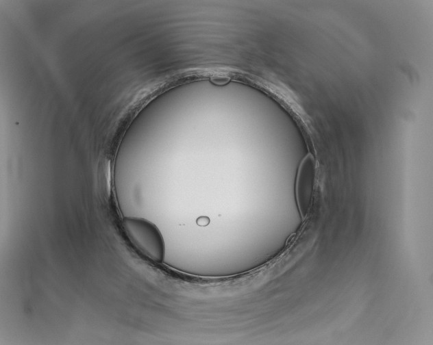 X0000112480013200908171023