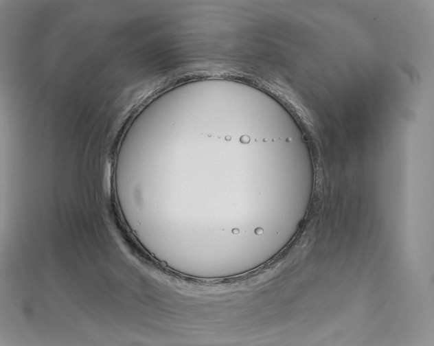 X0000112480014200908171023