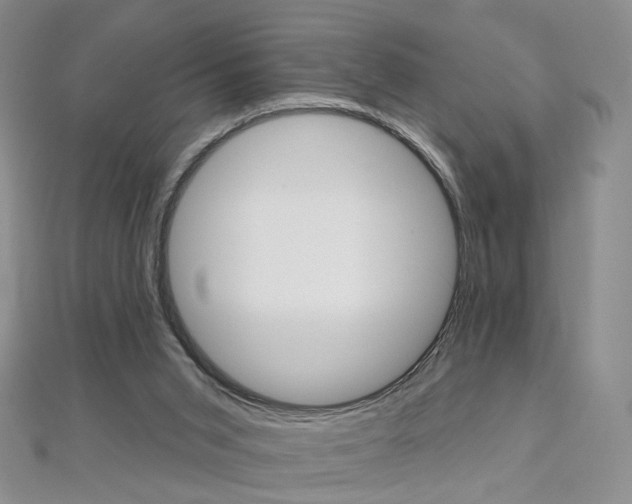 X0000112480015200908171023
