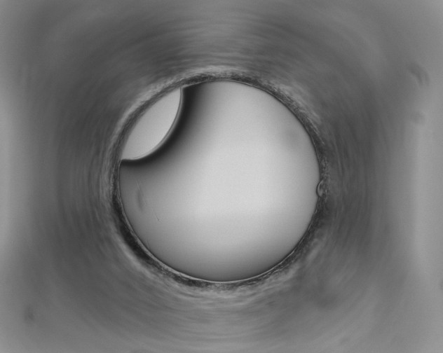 X0000112480016200908171023