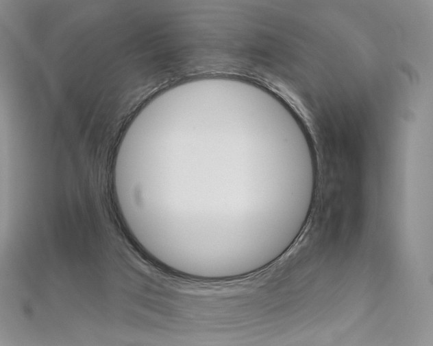 X0000112480017200908171023