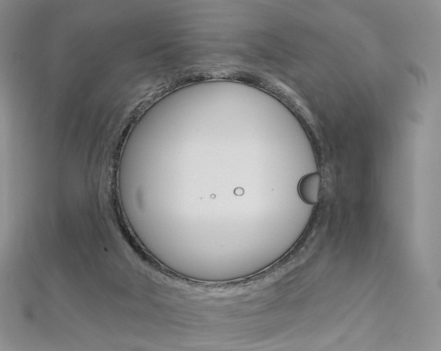 X0000112480018200908171023