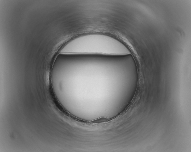 X0000112480019200908171022