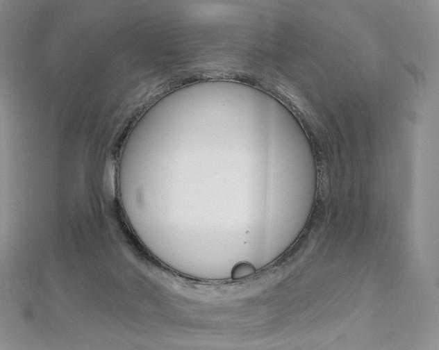 X0000112480022200908171022
