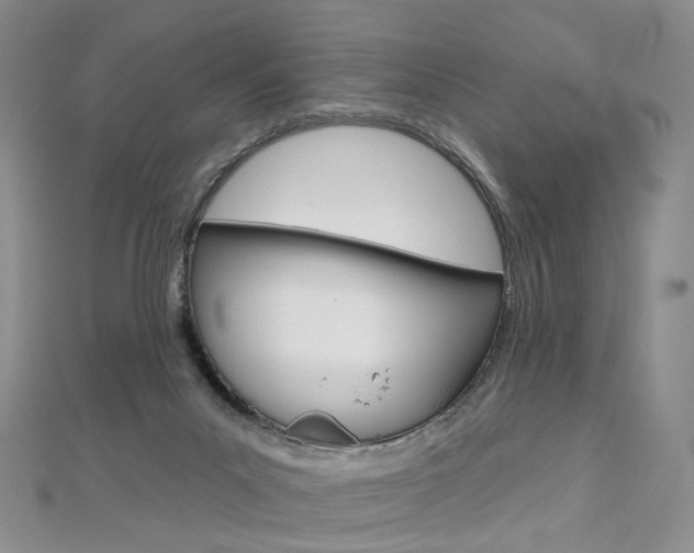 X0000112480023200908171022