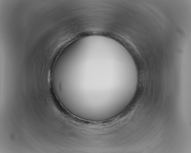 X0000112480024200908171022