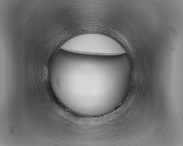 X0000112480025200908171022