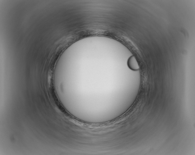 X0000112480026200908171022