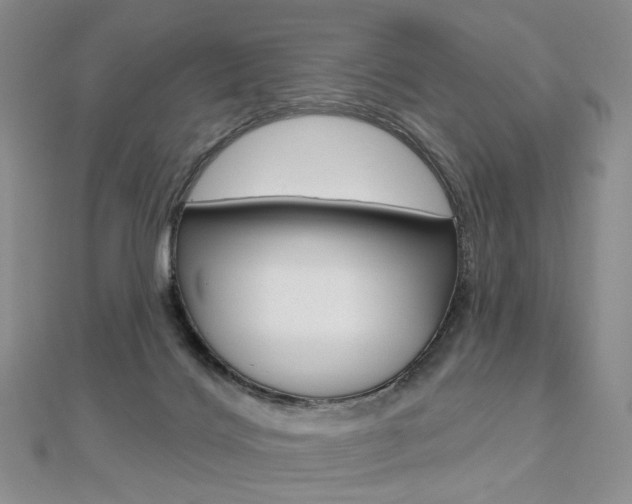 X0000112480028200908171022