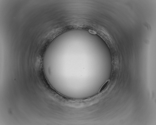 X0000112480029200908171022