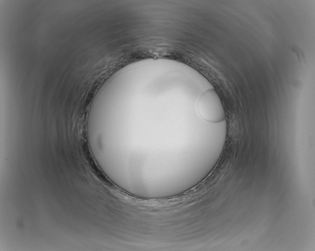 X0000112480030200908171022
