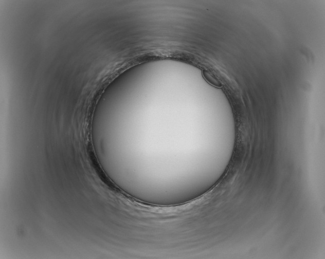 X0000112480031200908171022