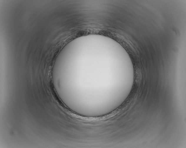 X0000112480034200908171022