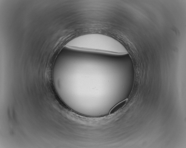 X0000112480035200908171022
