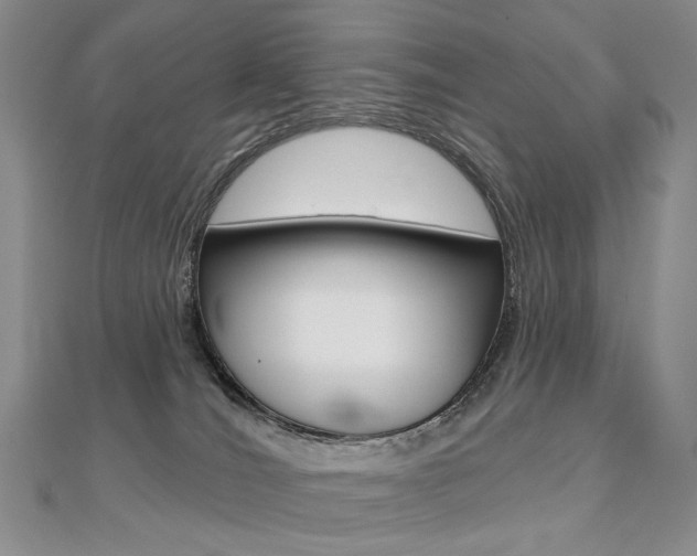 X0000112480036200908171022