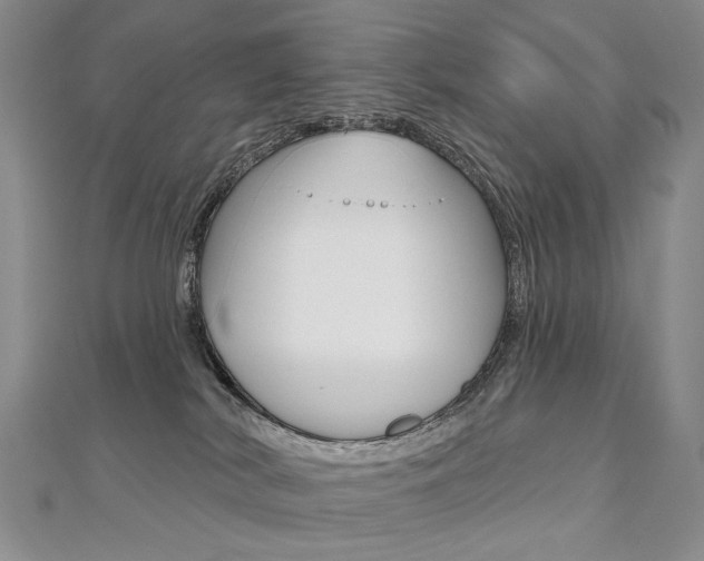 X0000112480038200908171022