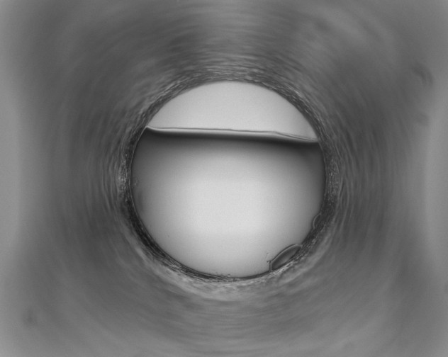 X0000112480040200908171022