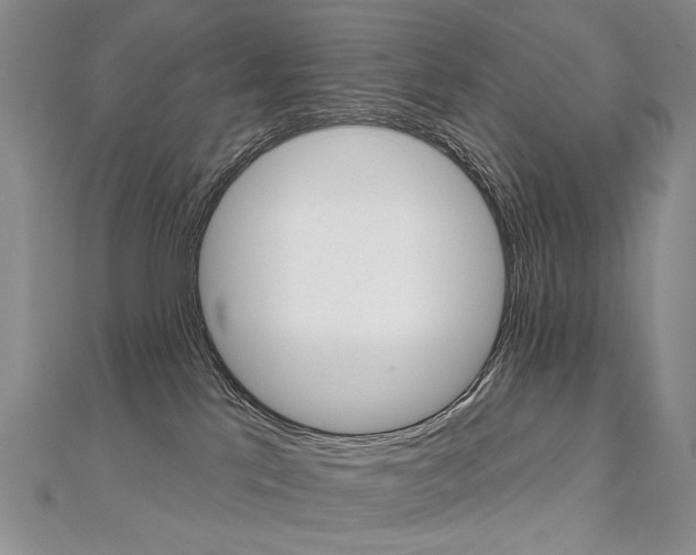 X0000112480041200908171022